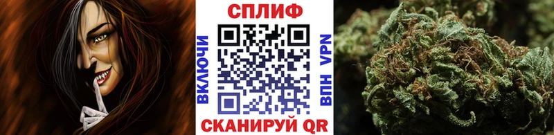 МЕГА как войти купить Аша Конопля семена